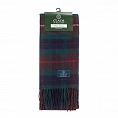картинка Clans of Scotland Fraser Hunting от магазина  Mykilt
